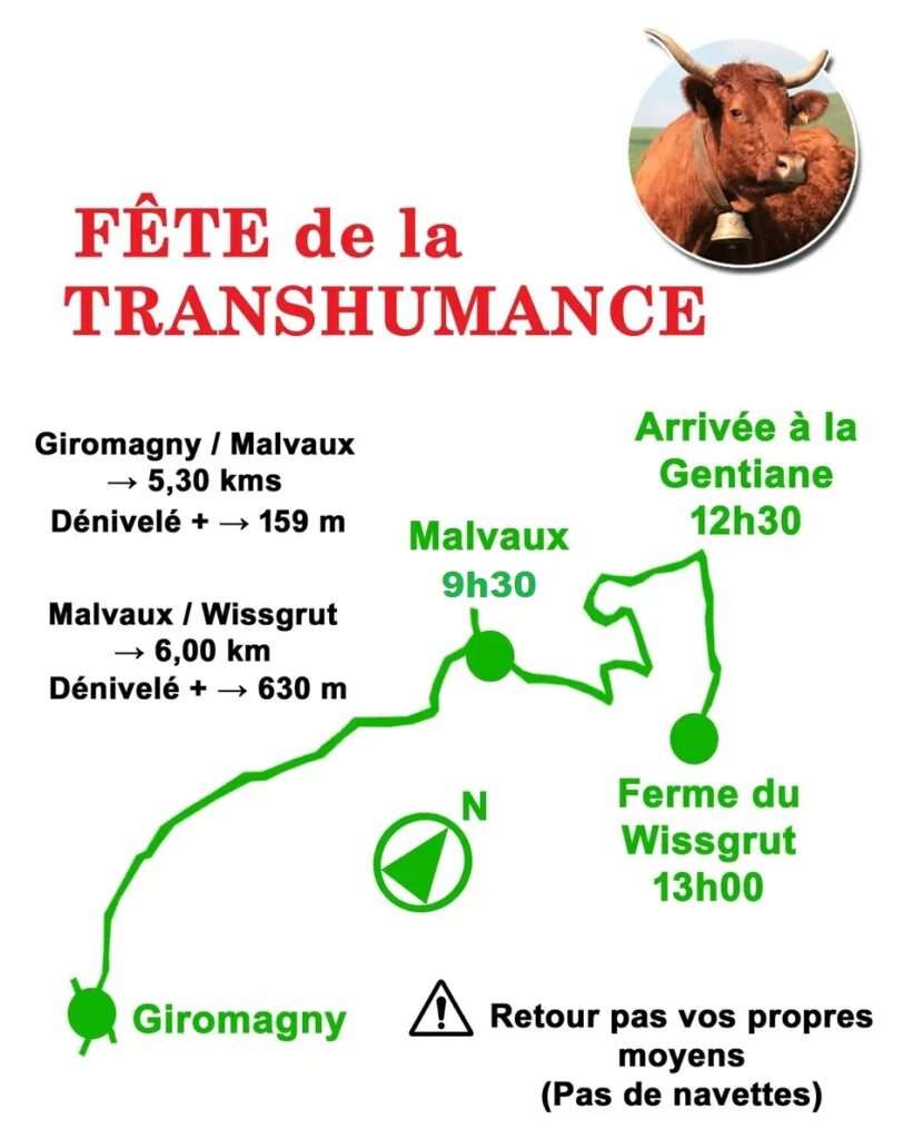 Fête de la transhumance
